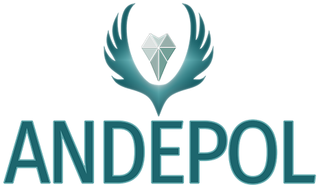 andepol logo
